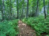 Lot 40 Lilium Lane - Photo 5