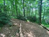 Lot 40 Lilium Lane - Photo 7
