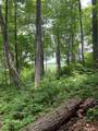 Lot 40 Lilium Lane - Photo 8