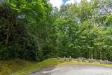 Lot 23 Piney Knob Trail - Photo 13