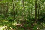 Lot 23 Piney Knob Trail - Photo 6
