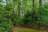Lot 23 Piney Knob Trail - Photo 9