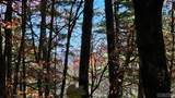 0 Lick Log Rd - Photo 5