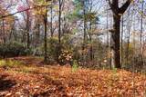00 Silly Ridge Road - Photo 5