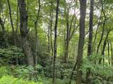 TBD Dillard Road - Photo 10