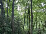 TBD Dillard Road - Photo 11