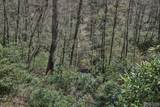 Lot 34 Streamside Lane - Photo 26