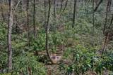Lot 34 Streamside Lane - Photo 39