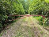 Tr 1-3 Moody Bridge Road - Photo 3