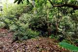 Lot 210 Wild Berry Court - Photo 6