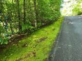 Lot 49B Big Pine Road - Photo 2