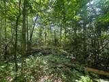 Lot 283 Pine Cone Court - Photo 3