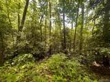 Lot 283 Pine Cone Court - Photo 4
