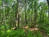 Lot 4 Park View Lane - Photo 20