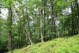 Lot DD Pleasant Hill Road - Photo 1