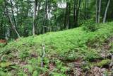 Lot DD Pleasant Hill Road - Photo 3