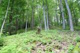 Lot DD Pleasant Hill Road - Photo 4