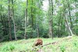 Lot DD Pleasant Hill Road - Photo 6