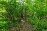 11 Fish Camp Trail - Photo 10
