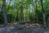 11 Fish Camp Trail - Photo 6