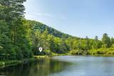 11 Fish Camp Trail - Photo 9