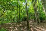12 Fish Camp Trail - Photo 4