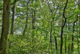 D-17 Cherokee Trace - Photo 9