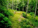 104 Tear Drop Lane - Photo 1