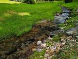 104 Tear Drop Lane - Photo 11