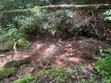 104 Tear Drop Lane - Photo 24