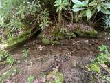 104 Tear Drop Lane - Photo 25