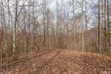 Lot 62 Pilot Knob Road - Photo 1
