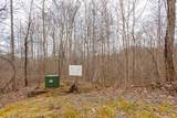 Lot 62 Pilot Knob Road - Photo 3