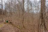 Lot 62 Pilot Knob Road - Photo 4