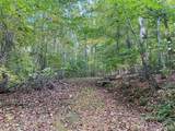 TBD Potts Branch Road - Photo 1