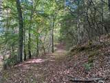 TBD Potts Branch Road - Photo 2