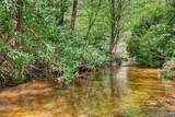Lot 20A Mountain Waterfalls - Photo 6