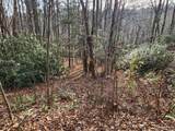 Lot 3 Turkey Roost Road - Photo 6