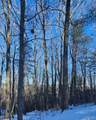18 Piney Knob Trail - Photo 1
