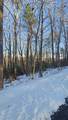 18 Piney Knob Trail - Photo 6