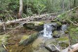 Off Neely - Photo 14