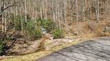 10 Hot Creek Lane - Photo 6