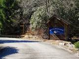57 Elk Hair Drive - Photo 4