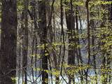 lot 22 Bright Mountain - Photo 6
