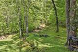 723 Shepherds Gap Road - Photo 31