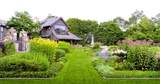 581 Sagee Woods Drive - Photo 49
