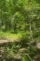 TBD Hwy 107 - Photo 7