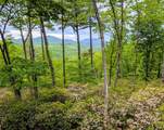 264 Jocassee Trail - Photo 3