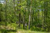 96 Blazing Star Drive - Photo 3