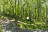 C55 Roaming Road - Photo 2